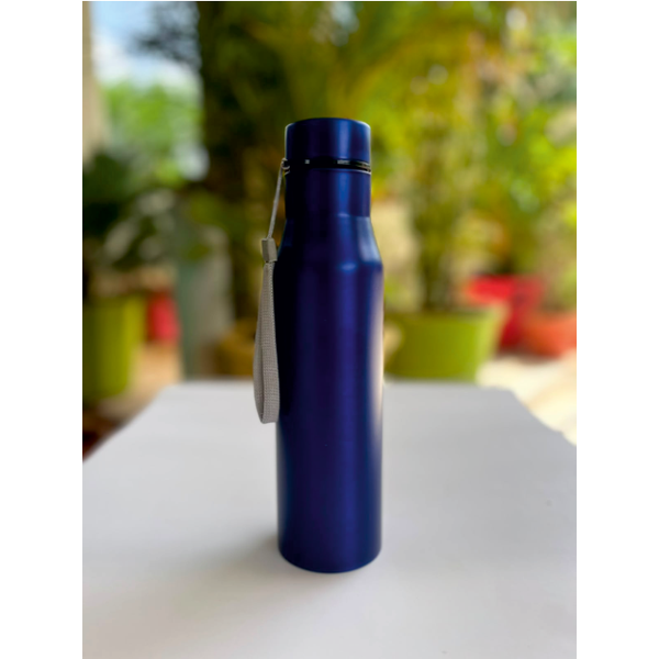 Bottle - Stainless Steel 925 ml Blue (Code: G 4030)